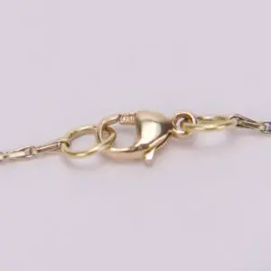 Gold lobster clasp on delicate chain.