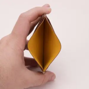 Hand holding open, empty wallet.