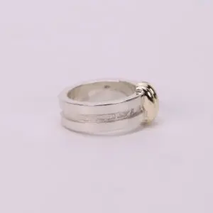 Silver ring with gold accent detail.
