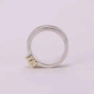 Silver ring with gold accent detail.