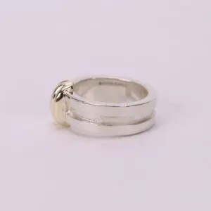 Silver ring with gold accent on side.