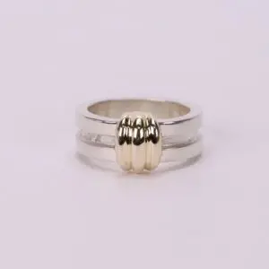 Silver ring with gold accent design.
