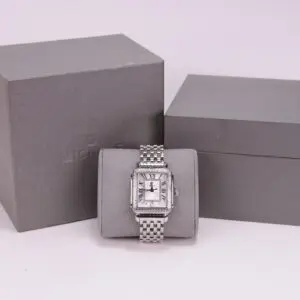 Silver watch with gray boxes background.
