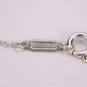 Silver chain with engraved tag and clasp.