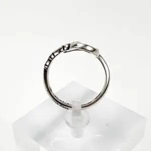 Silver ring on clear display stand.