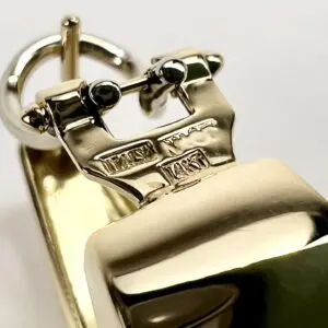 Close-up of a shiny metal buckle.