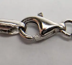 Silver lobster clasp on a chain.