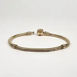 Gold bracelet with clasp on white background.