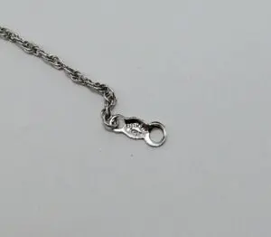 Silver chain with a clasp on end.