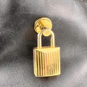Gold padlock on black leather surface.