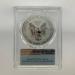 2019-S-1-ENHANCED-REVERSE-PROOF-SILVER-EAGLE-PCGS-PF69-FIRST-STRIKE-184084298144-4
